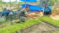 IMG-20240203-WA0015