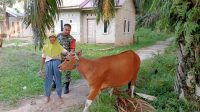 IMG-20240207-WA0016