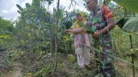 IMG-20240220-WA0032