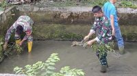 IMG-20240229-WA0029