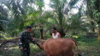 IMG-20240324-WA0041