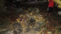 IMG-20240325-WA0304