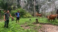 IMG-20240402-WA0022