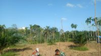 IMG-20240403-WA0045