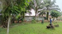 IMG-20240424-WA0053