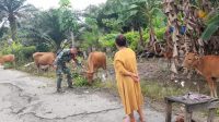 IMG-20240426-WA0032