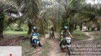 IMG-20240426-WA0035