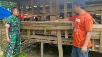 IMG-20240513-WA0069