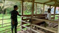 IMG-20240528-WA0051