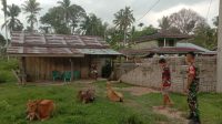 IMG-20240530-WA0045