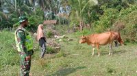 IMG-20240605-WA0079
