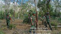 IMG-20240606-WA0061