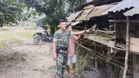 IMG-20240621-WA0196