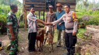 IMG-20240621-WA0276