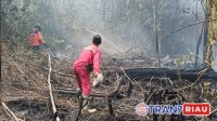 IMG-20240729-WA0128