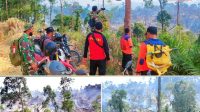 IMG-20240729-WA0143