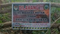 IMG-20240807-WA0044