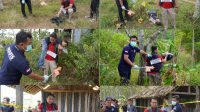 IMG-20240811-WA0013