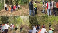 IMG-20240903-WA0058(2)
