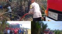 IMG-20240907-WA0089