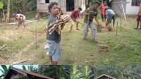 IMG-20241027-WA0074