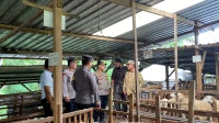 IMG-20250106-WA0120