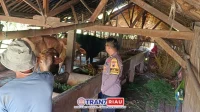 IMG-20250109-WA0005