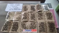 IMG-20250109-WA0214