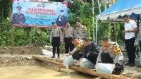 IMG-20250219-WA0316