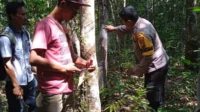 IMG-20250501-WA0140