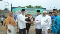 IMG-20250606-WA0053