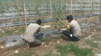 IMG-20260801-WA0272