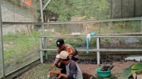 IMG-20260804-WA0016