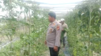 IMG-20260813-WA0025