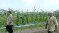 IMG-20260820-WA0050