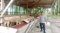 IMG-20260901-WA0025