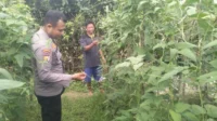 IMG-20260901-WA0034