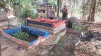 IMG-20260907-WA0021