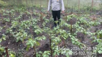IMG-20260911-WA0041