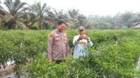IMG-20260915-WA0032