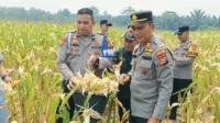 IMG-20260915-WA0144