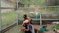 IMG-20261019-WA0042